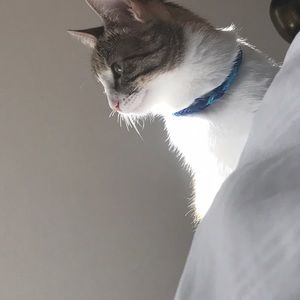 Meet your Posher, Delmonde